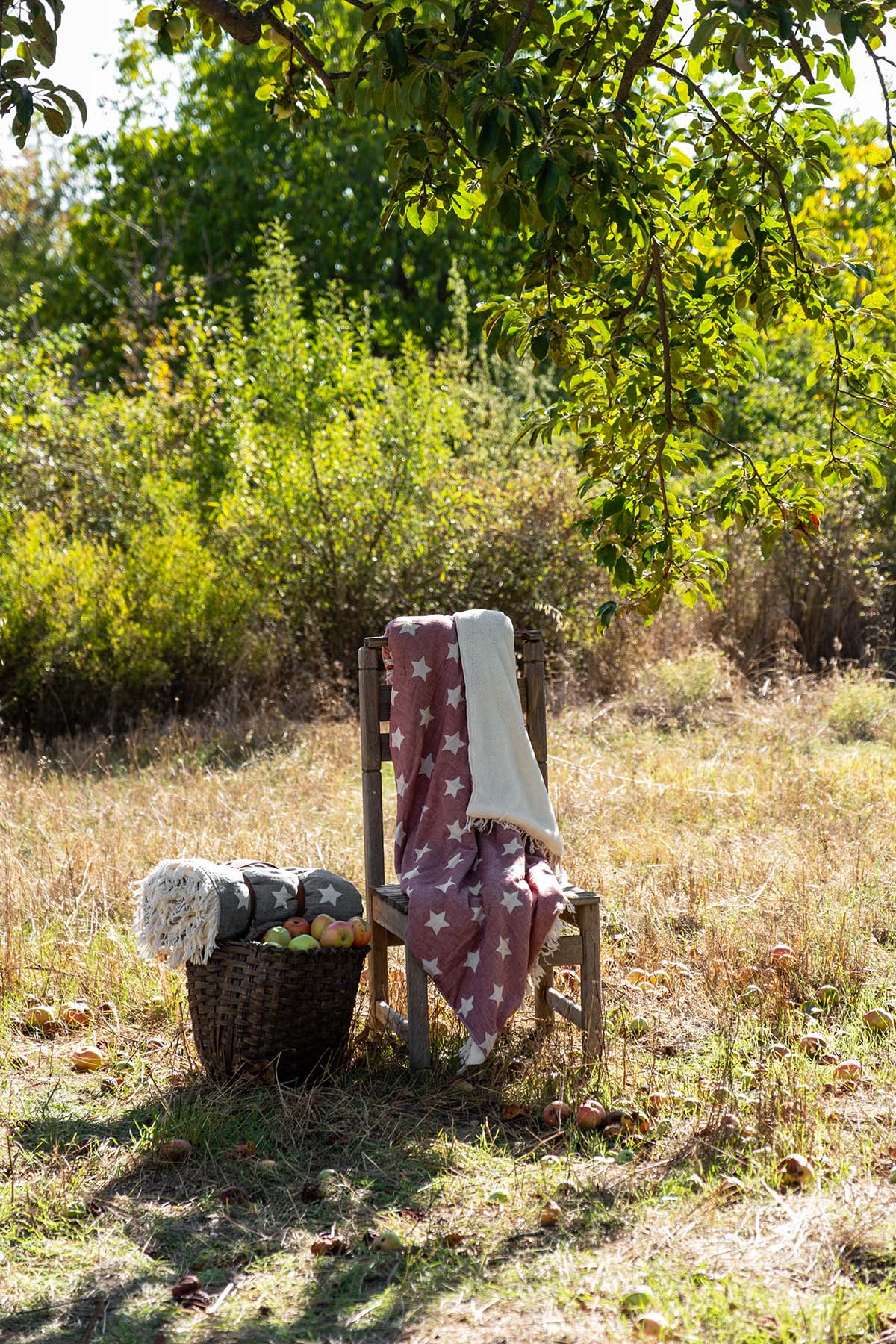 Carrying Belt Polar Fleece Lined Double Faced Star Jacquard Throw Burgundy