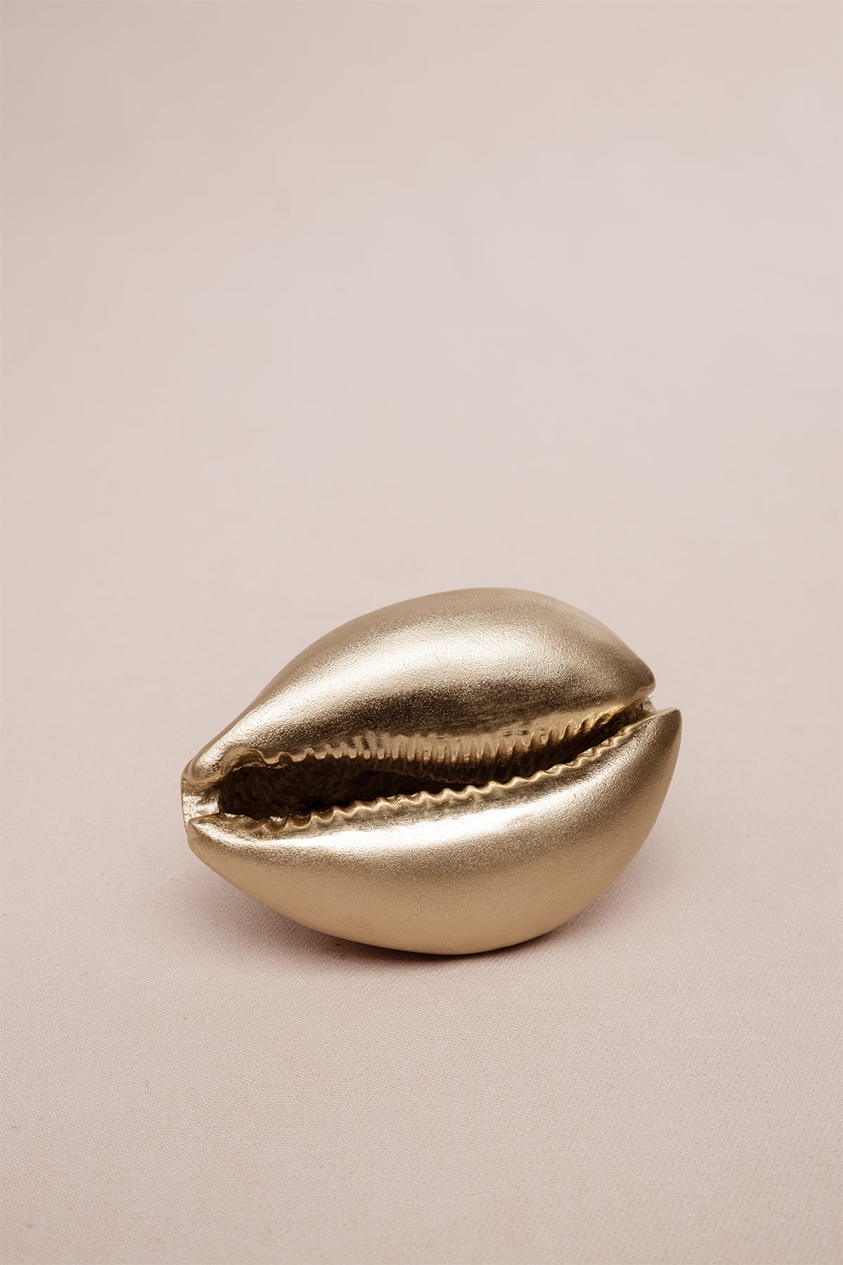 Deniz Kabuğu Şeklinde Mat Pirinç Kaplama Dekoratif Obje Gold 8x6 cm