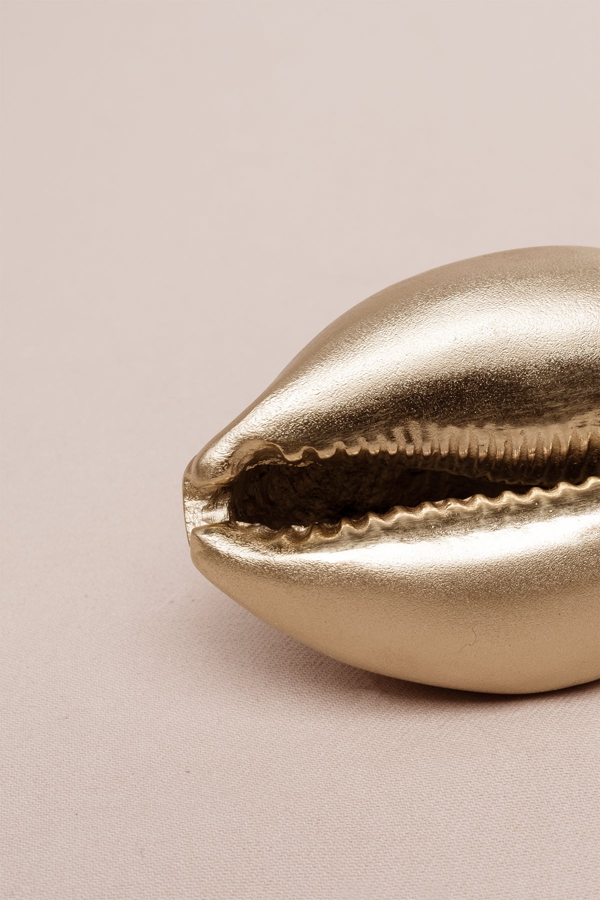 Deniz Kabuğu Şeklinde Mat Pirinç Kaplama Dekoratif Obje Gold 8x6 cm